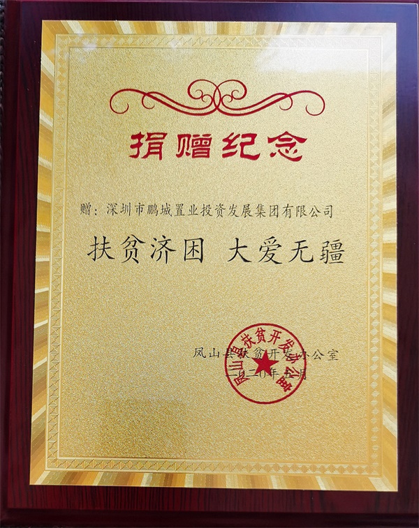 凤山县扶贫捐赠纪念.jpg