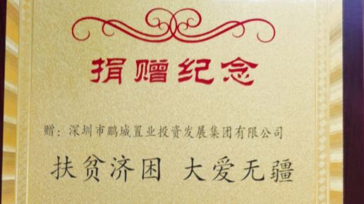 企业关怀——凤山县脱贫攻坚战捐赠纪念